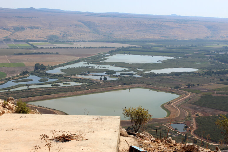 קרן נפתלי וימת החולה קרן נפתלי וימת החולה